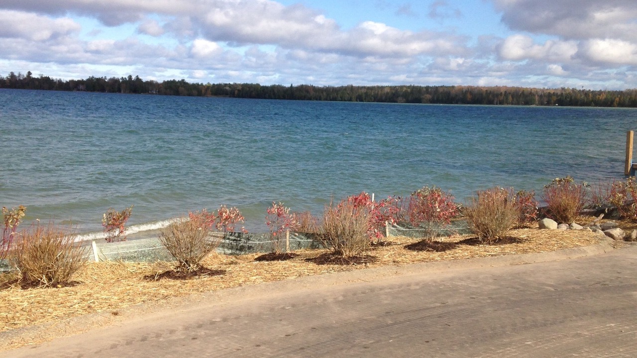 Photo of Others in Indian River