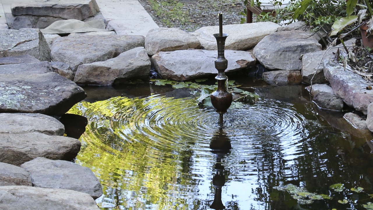 Photo of Outdoor in Summer Hill