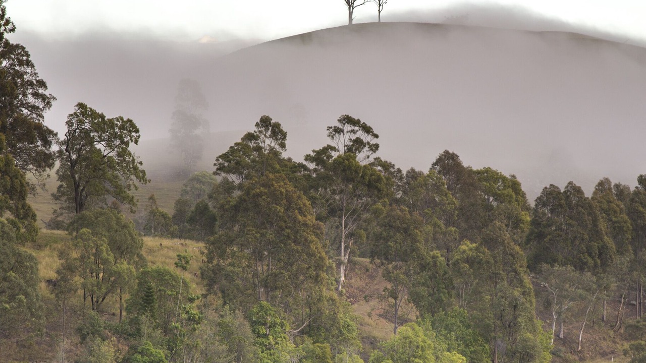 Photo of Others in Summer Hill