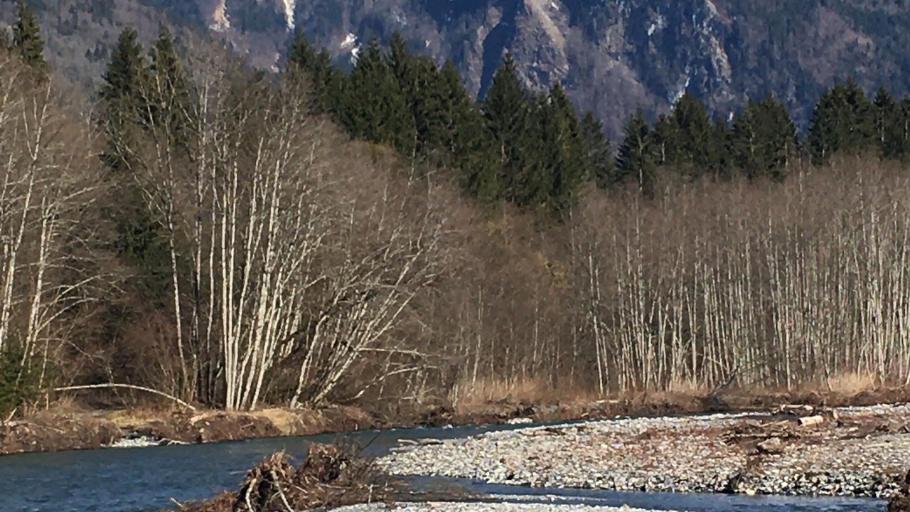 Photo of Others in Samoens