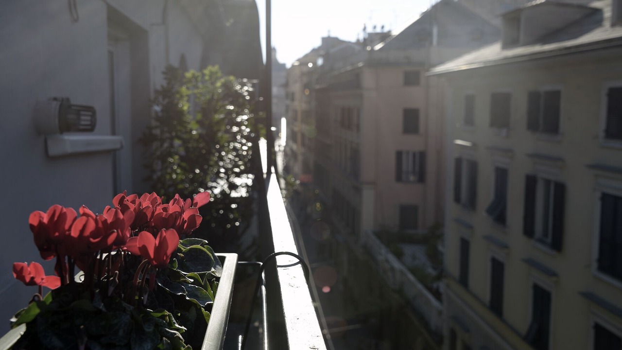 Photo of Others in Genoa Historical Centre