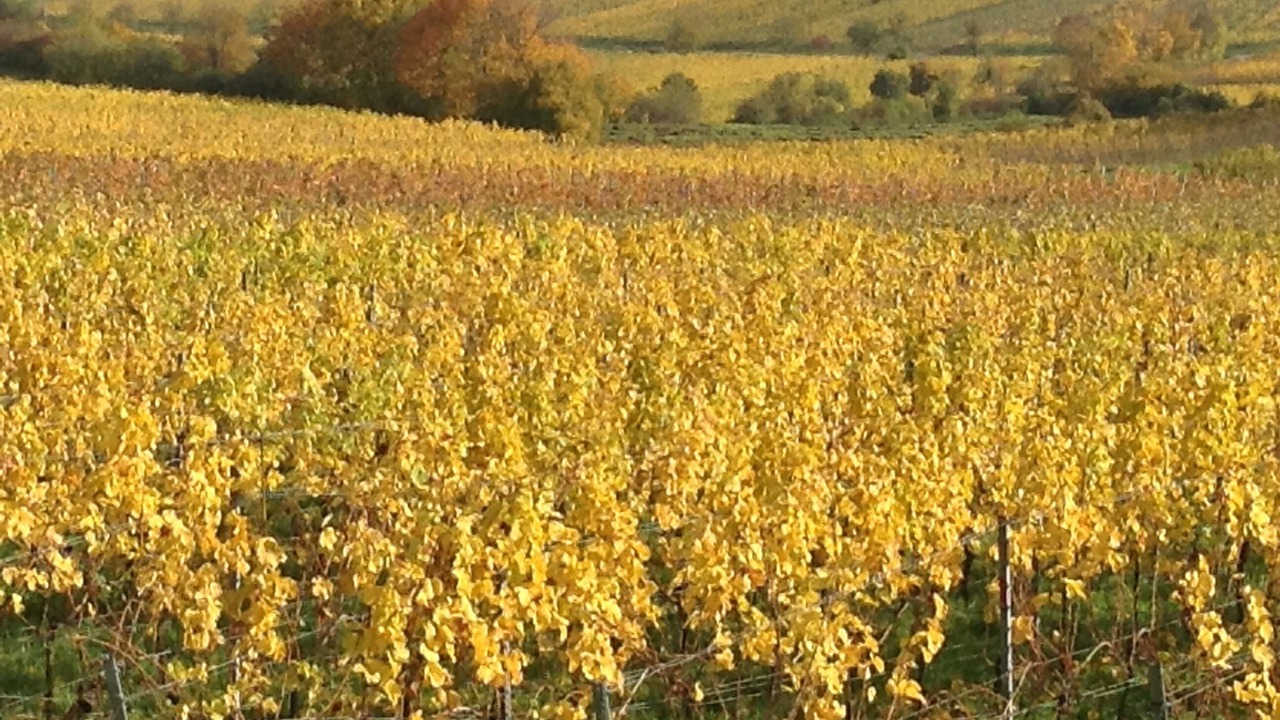 Photo of Outdoor in Neuleiningen