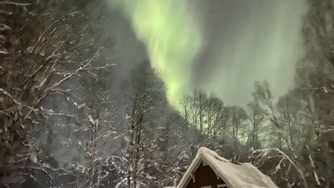 Photo of Others in Susitna North
