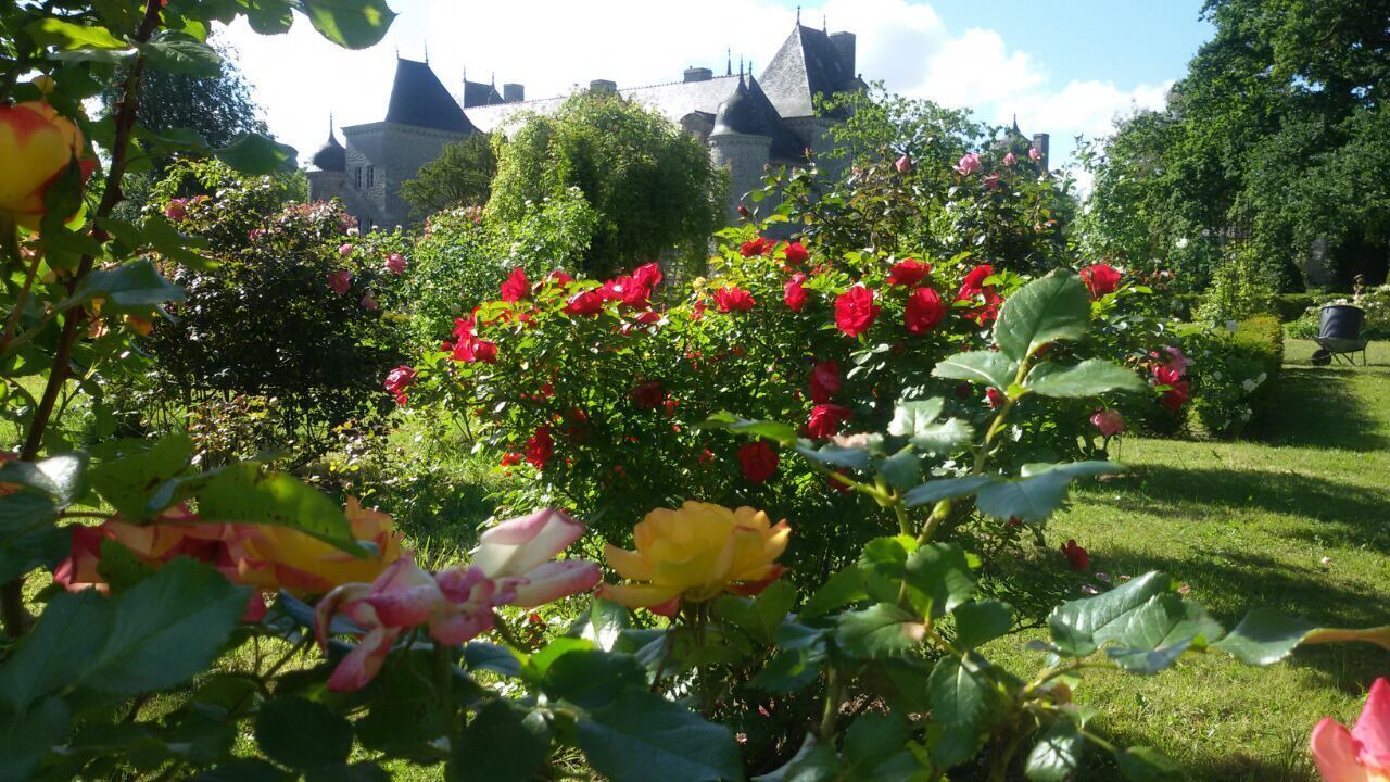 Photo of Outdoor in Saint-Glen