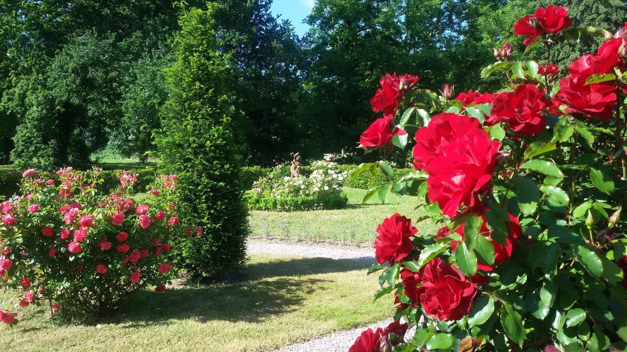 Photo of Outdoor in Saint-Glen