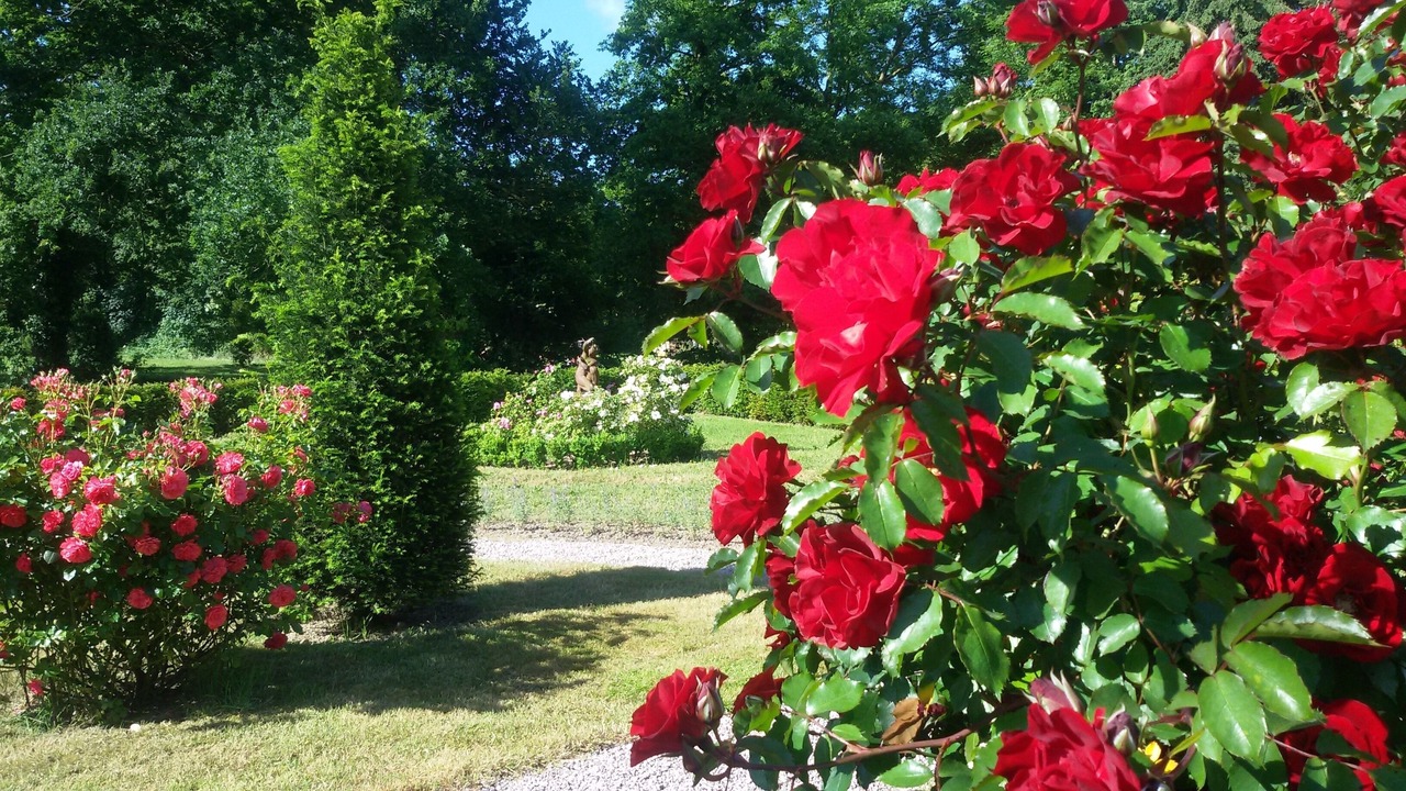 Photo of Outdoor in Saint-Glen
