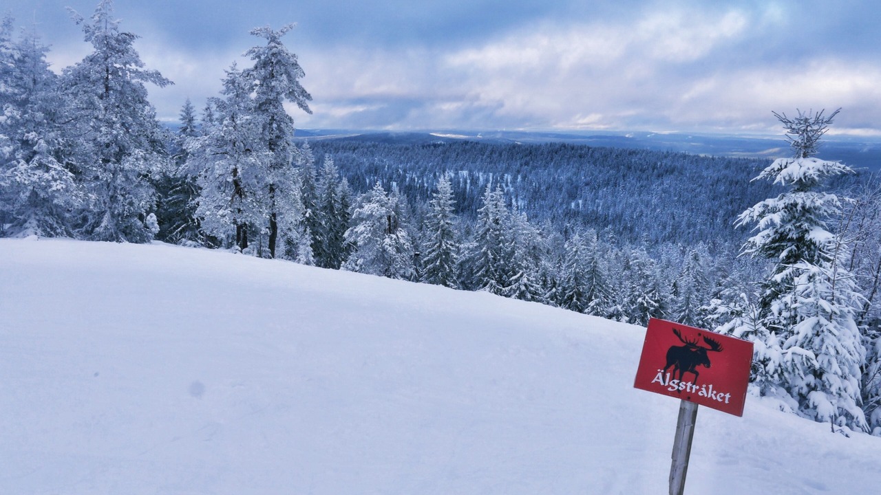Photo of Others in Lysvik