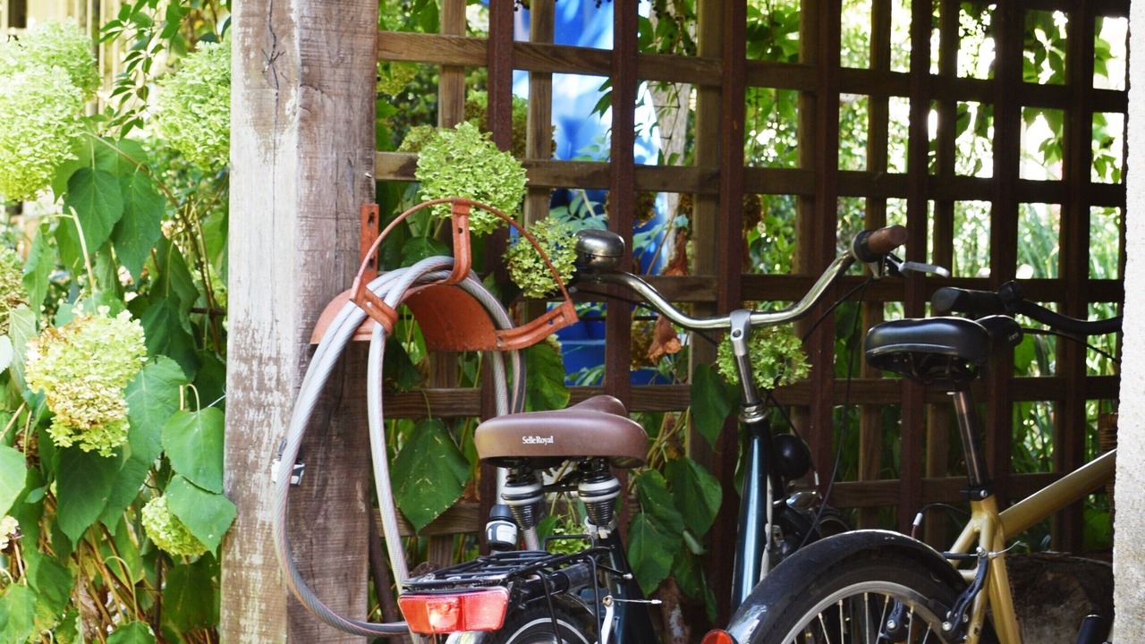 Photo of Outdoor in Selles-sur-Cher