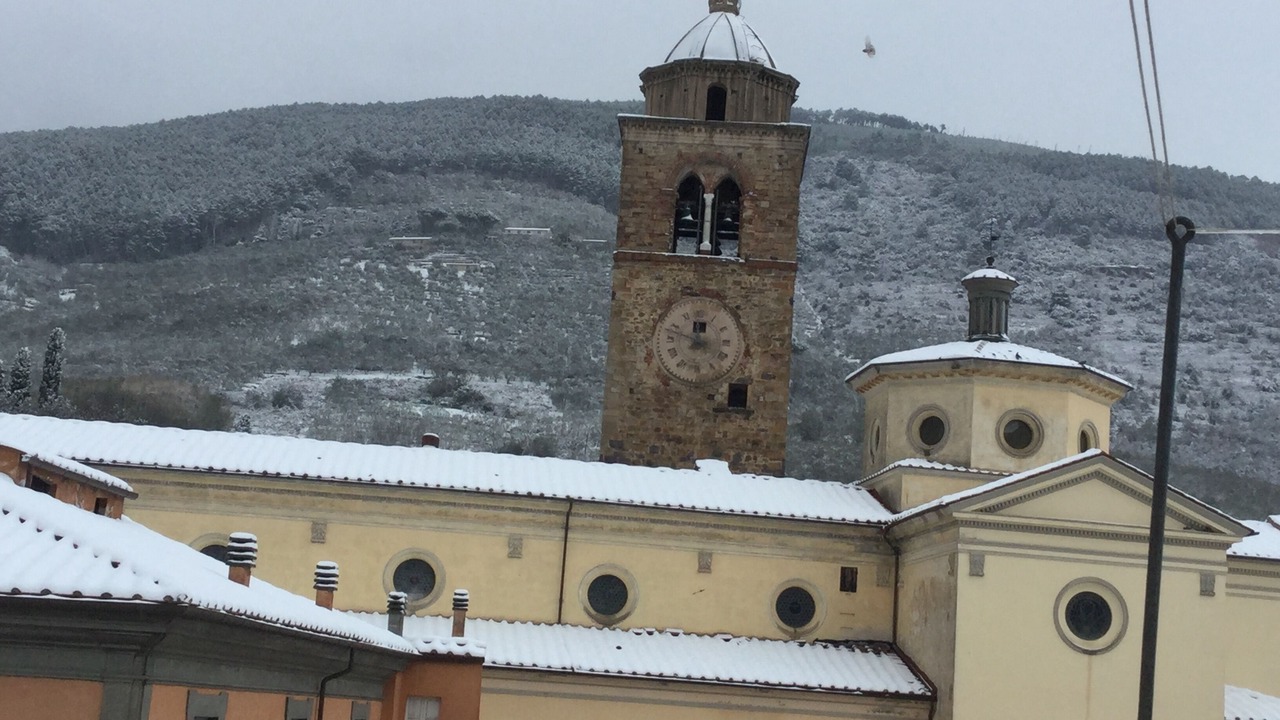 Photo of Outdoor in Buti