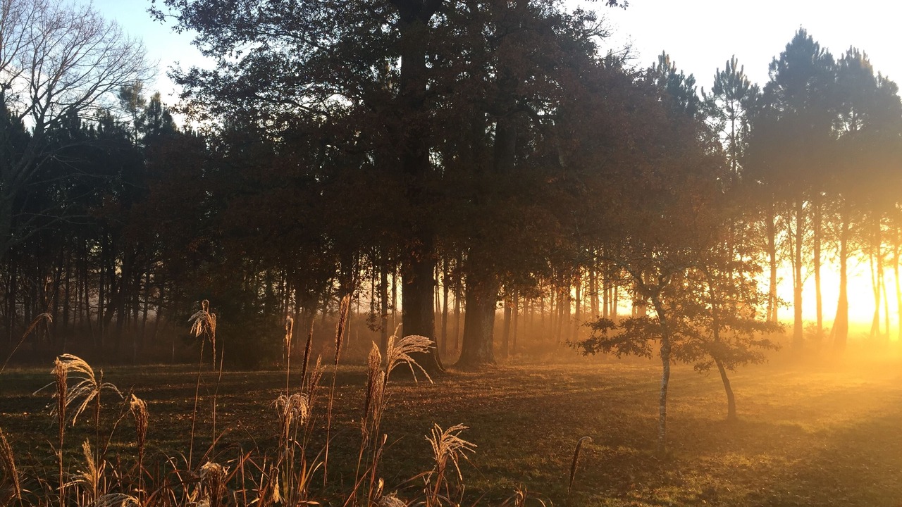 Photo of Outdoor in Arengosse