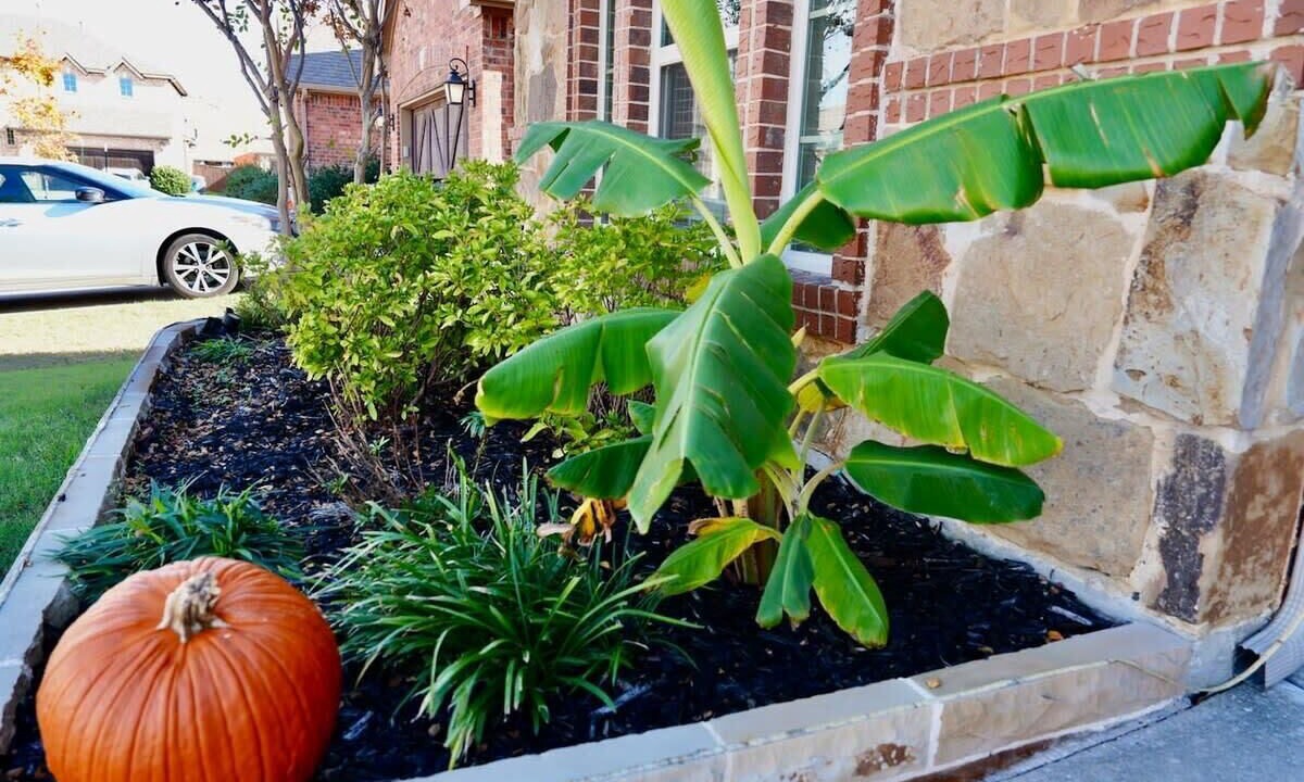 Photo of Outdoor in Little Elm