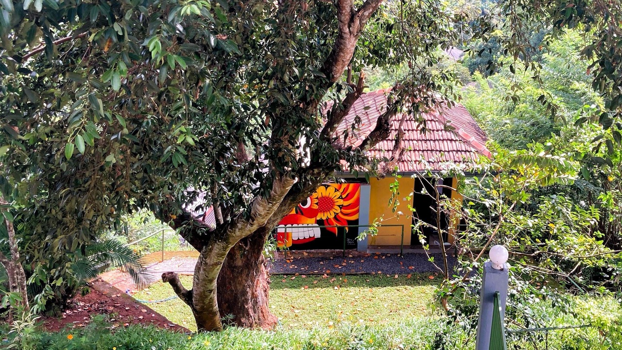 Photo of Outdoor in Primrose