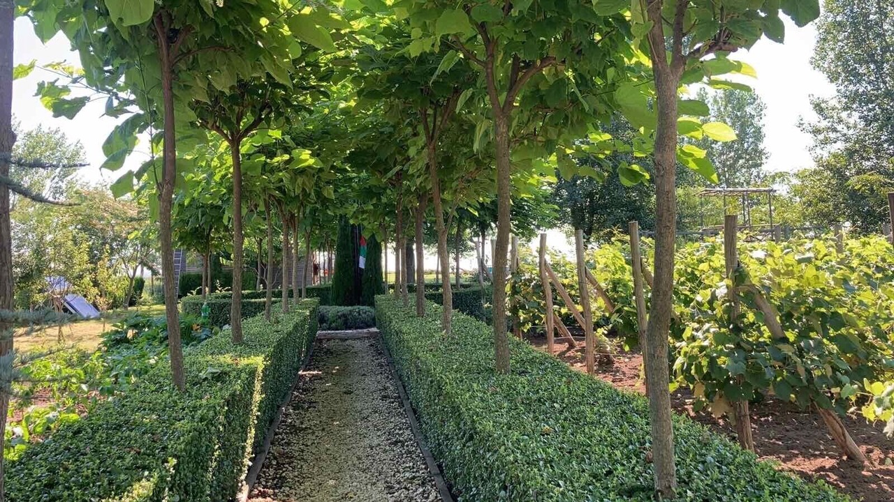 Photo of Outdoor in Shabla