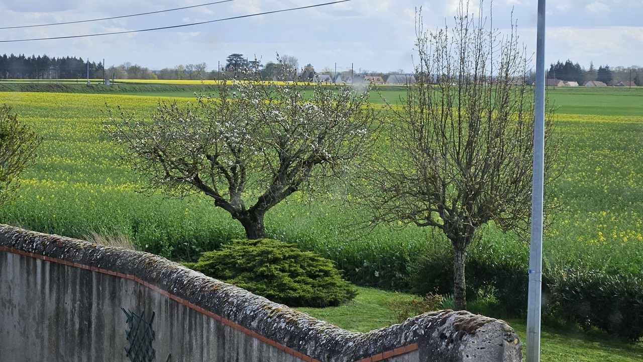Photo of Outdoor in Suevres
