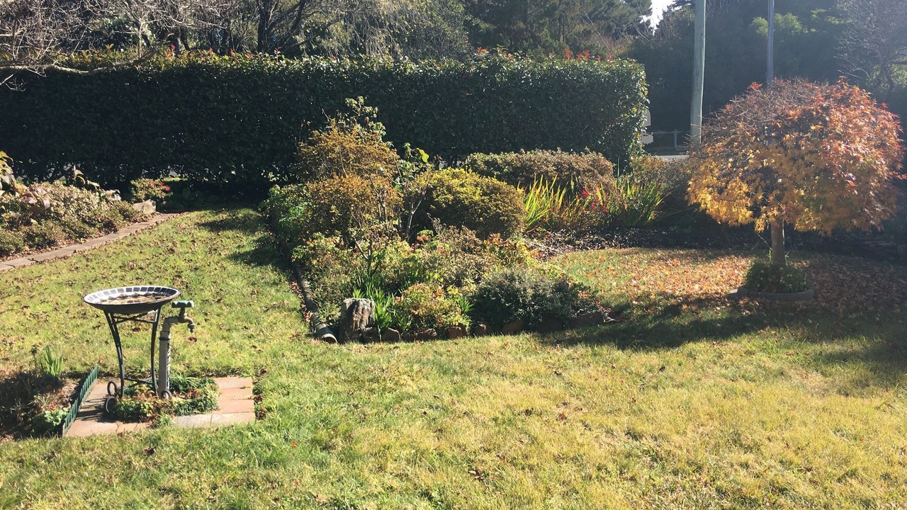 Photo of Outdoor in Katoomba