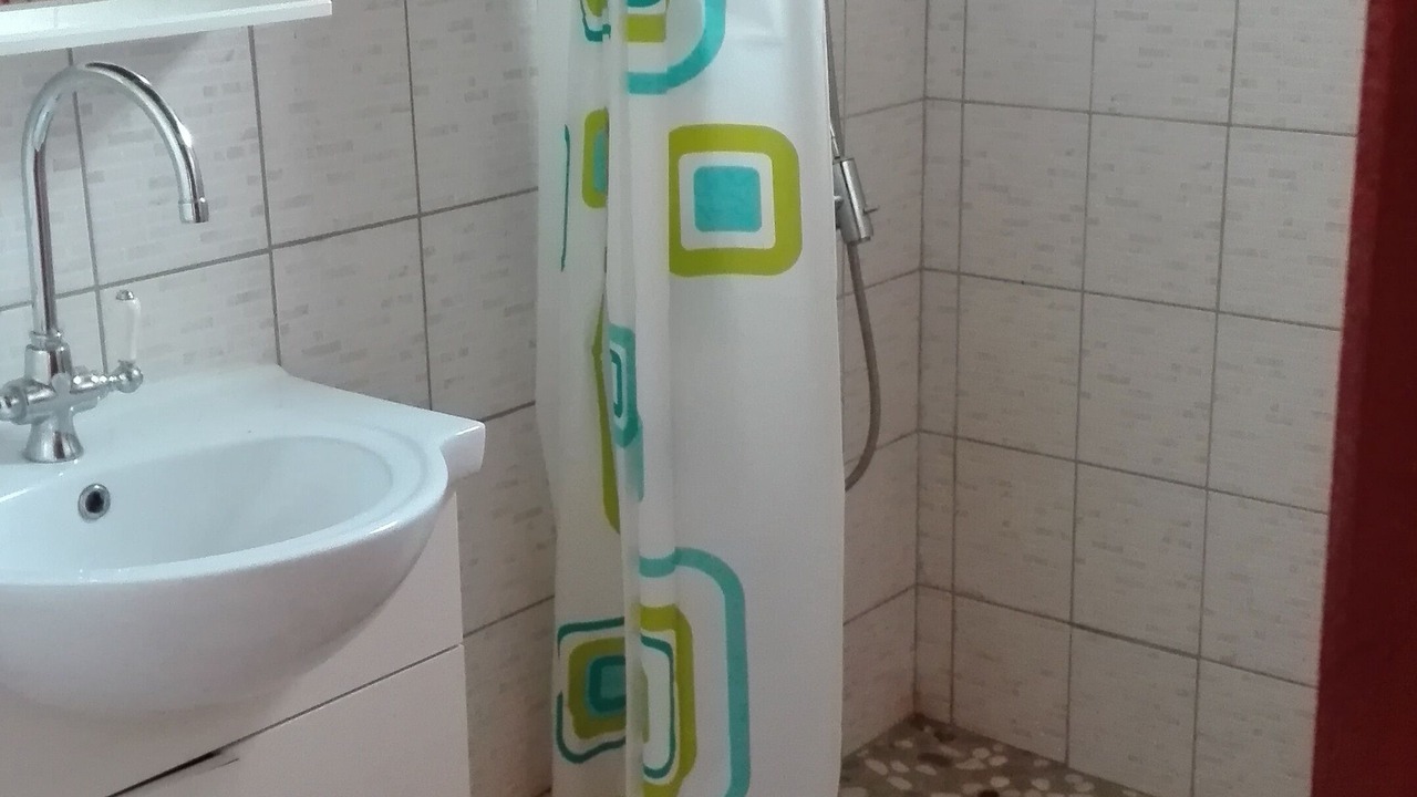 Photo of Bathroom in Baie-Mahault
