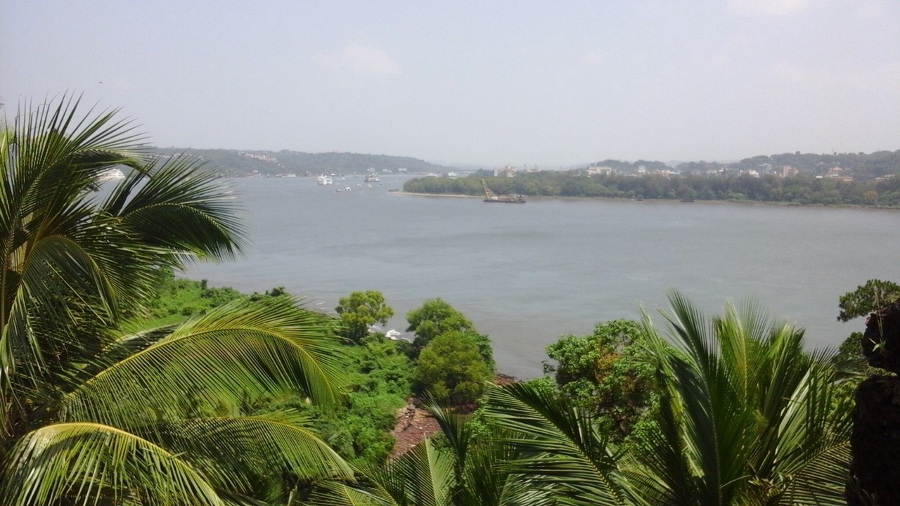 Photo of Others in Candolim