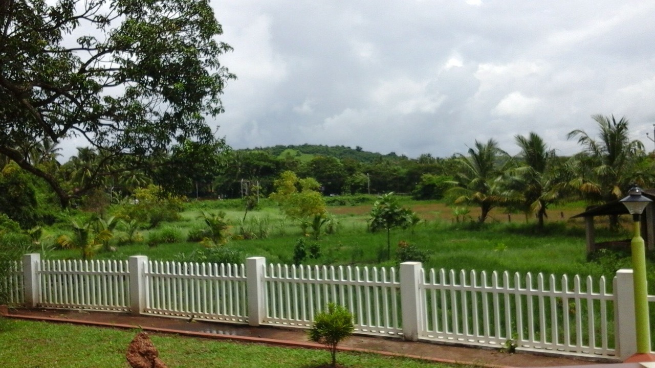 Photo of Outdoor in Candolim