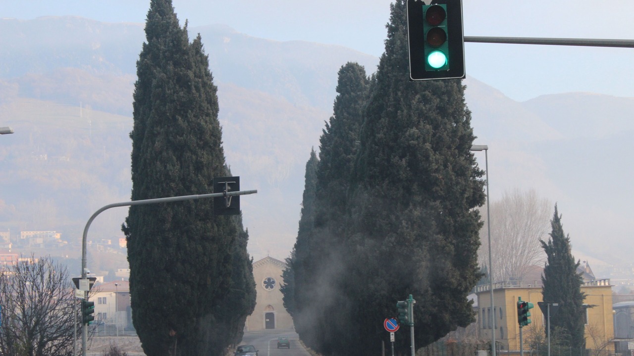 Photo of Others in Vittorio Veneto