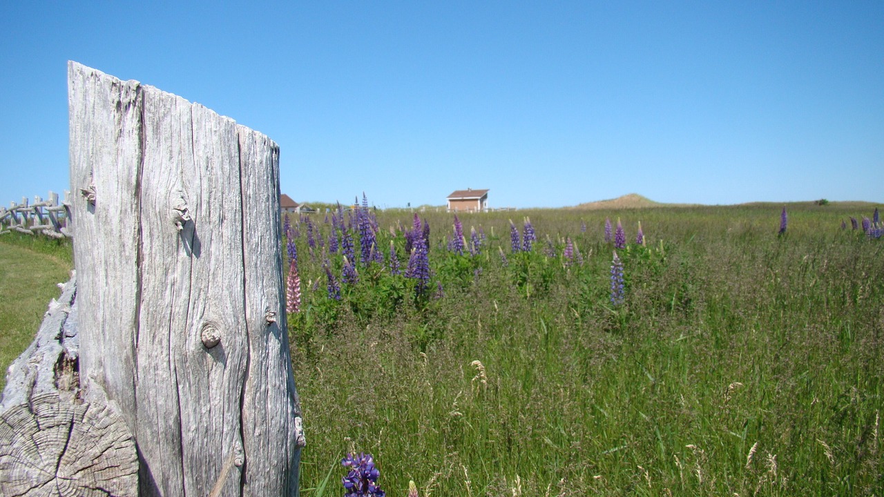 Photo of Others in North Rustico
