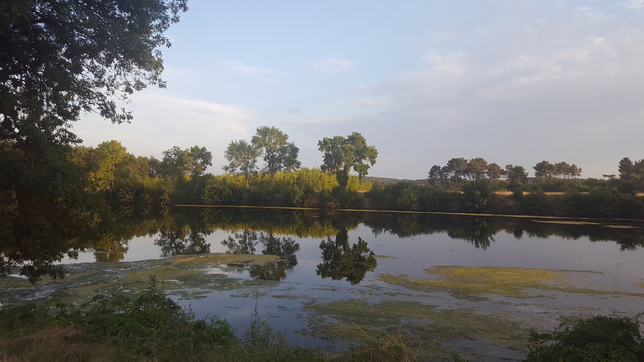 Photo of Outdoor in Bourre