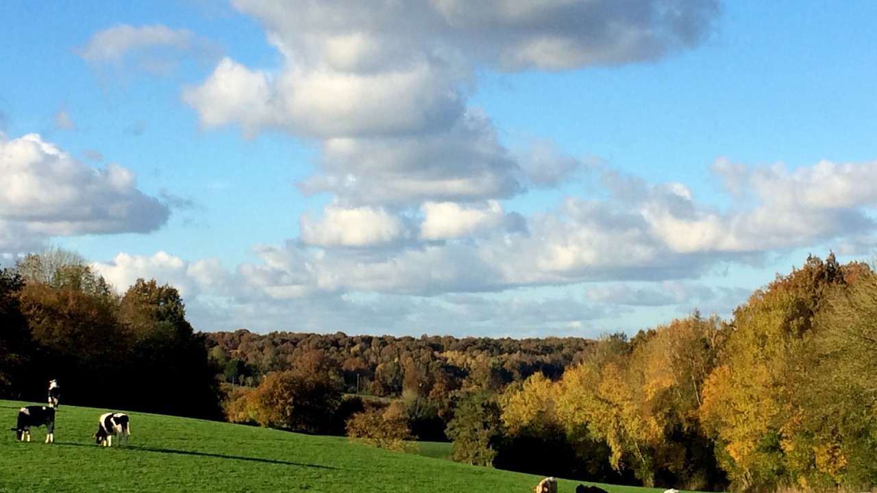 Photo of Others in Tordouet