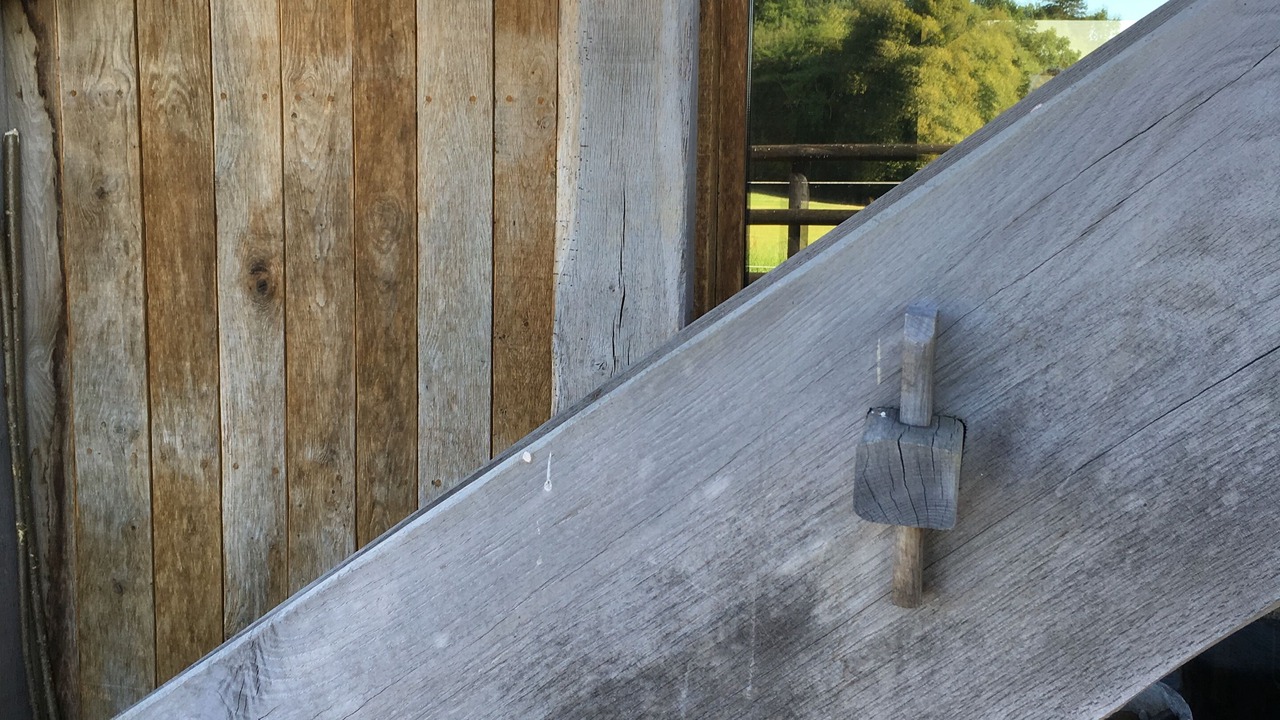 Photo of Outdoor in Tordouet