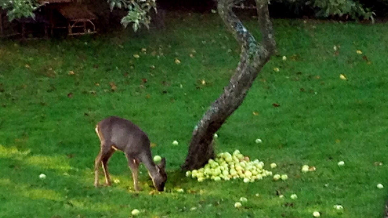 Photo of Outdoor in Tordouet