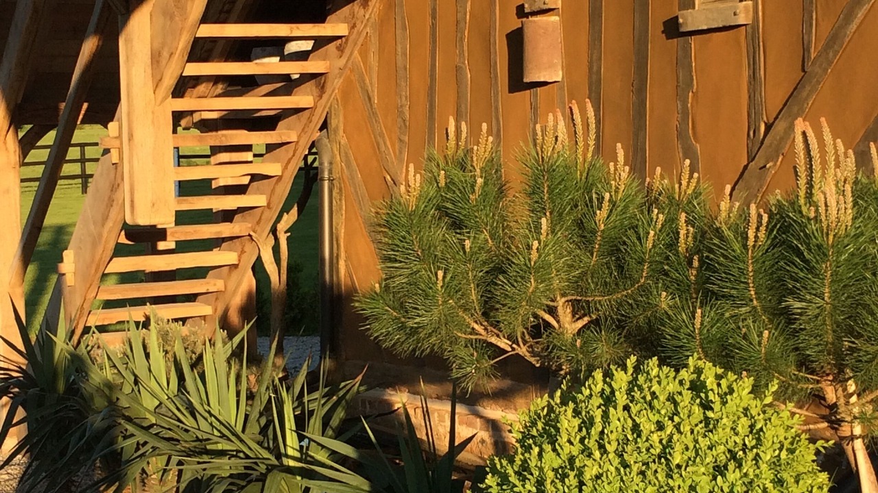 Photo of Outdoor in Tordouet