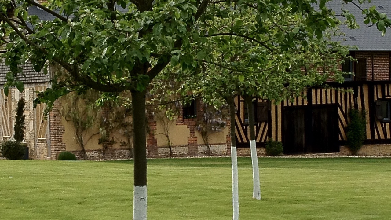Photo of Outdoor in Tordouet