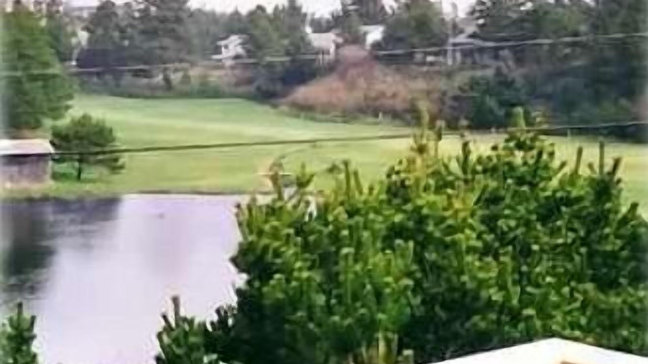 Photo of Others in Manzanita