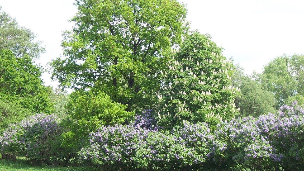 Photo of Outdoor in Wustrau