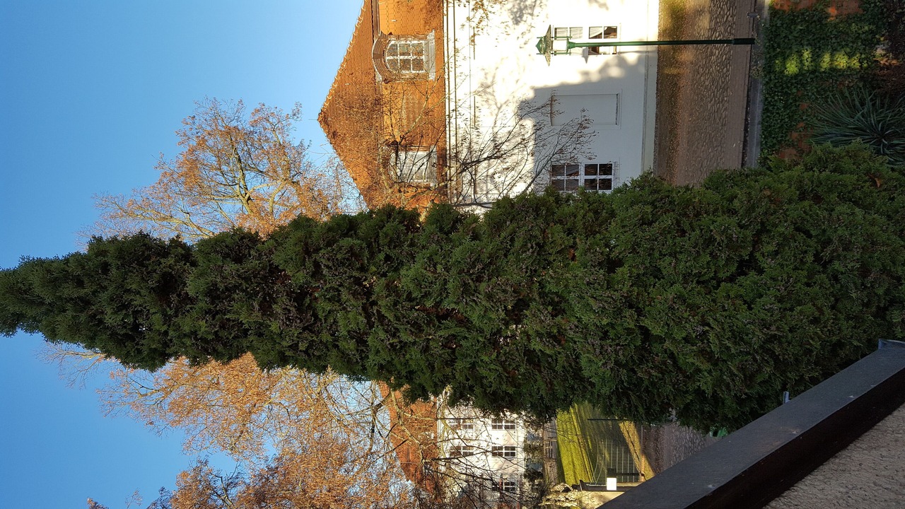 Photo of Outdoor in Wustrau
