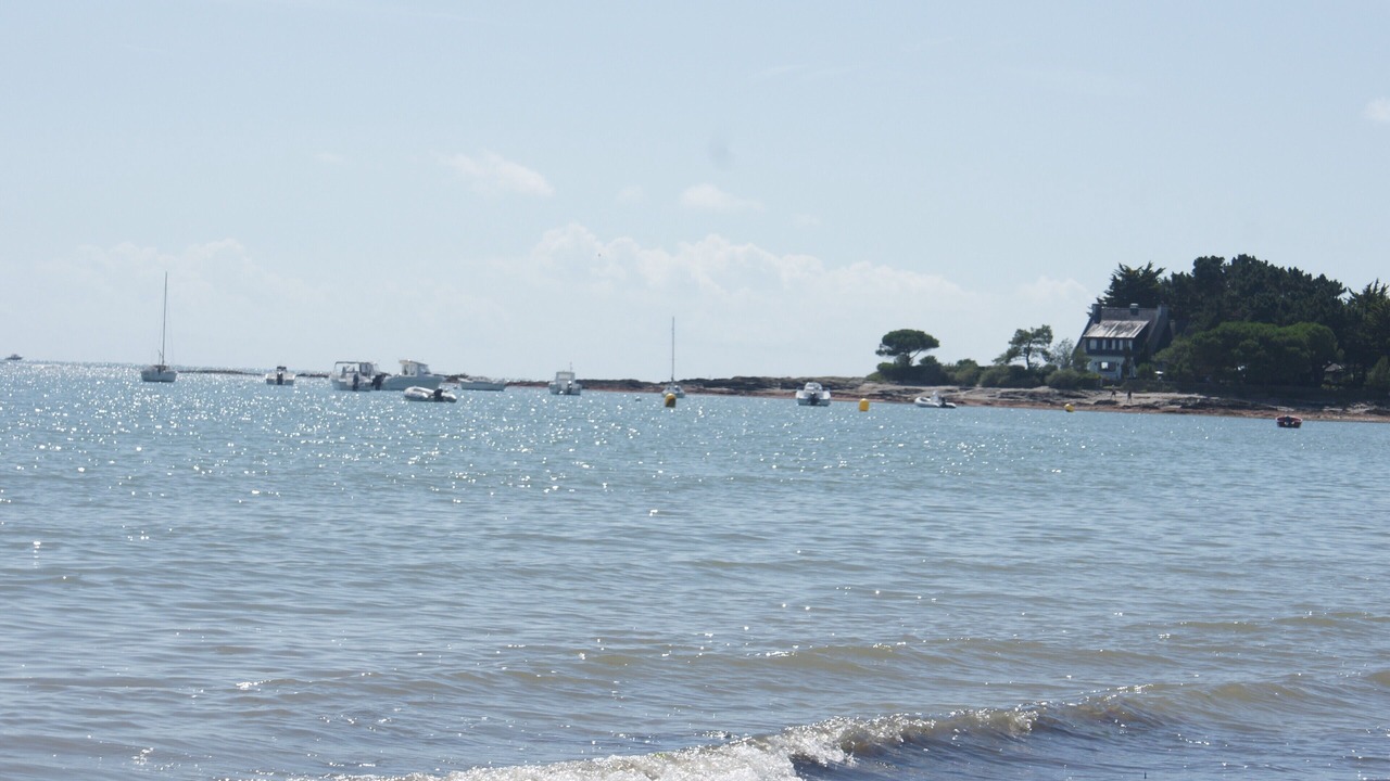 Photo of Others in Sarzeau