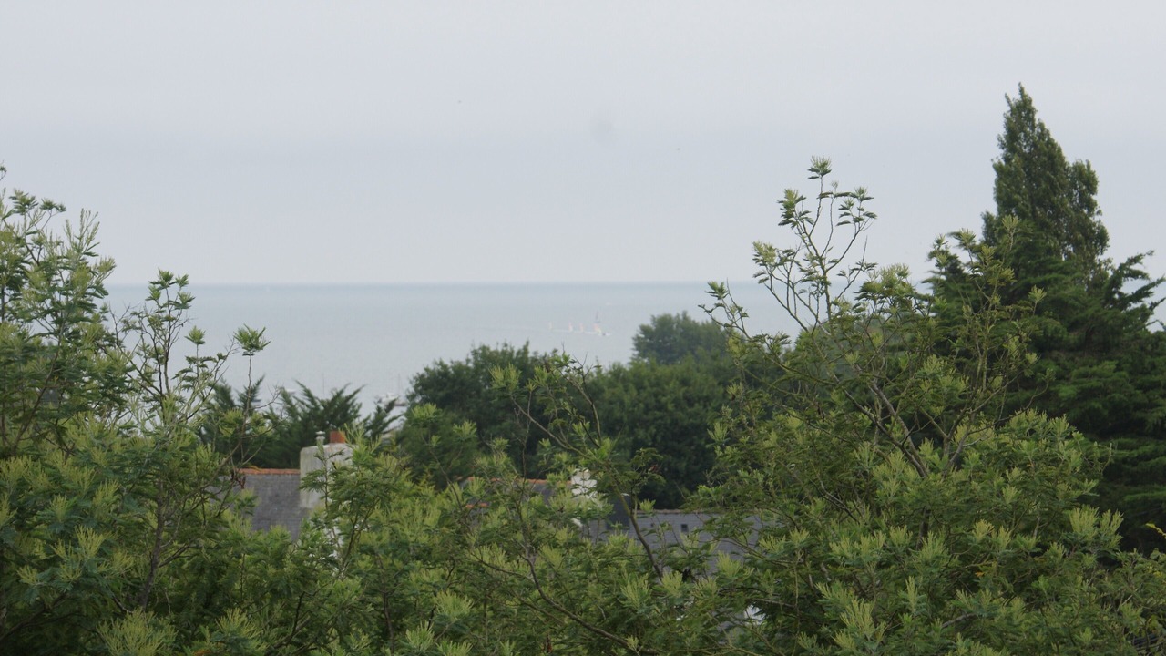 Photo of Others in Sarzeau