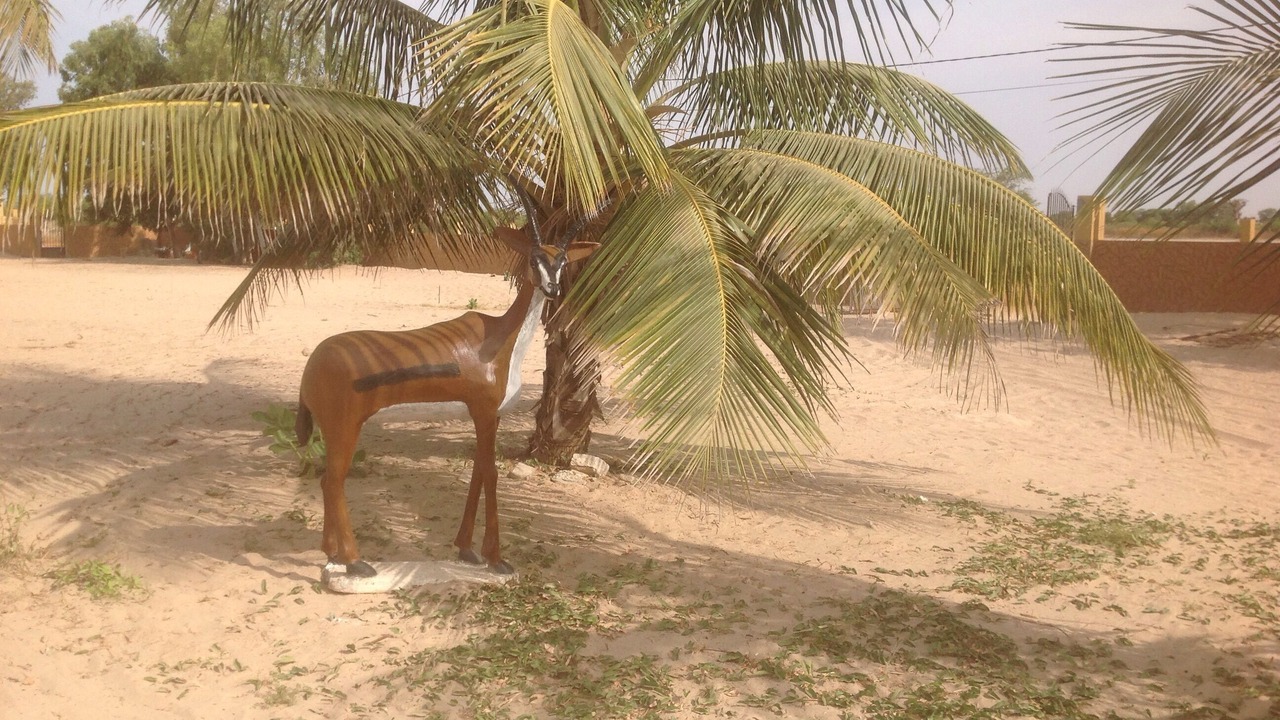 Photo of Outdoor in Saly Petite Cote
