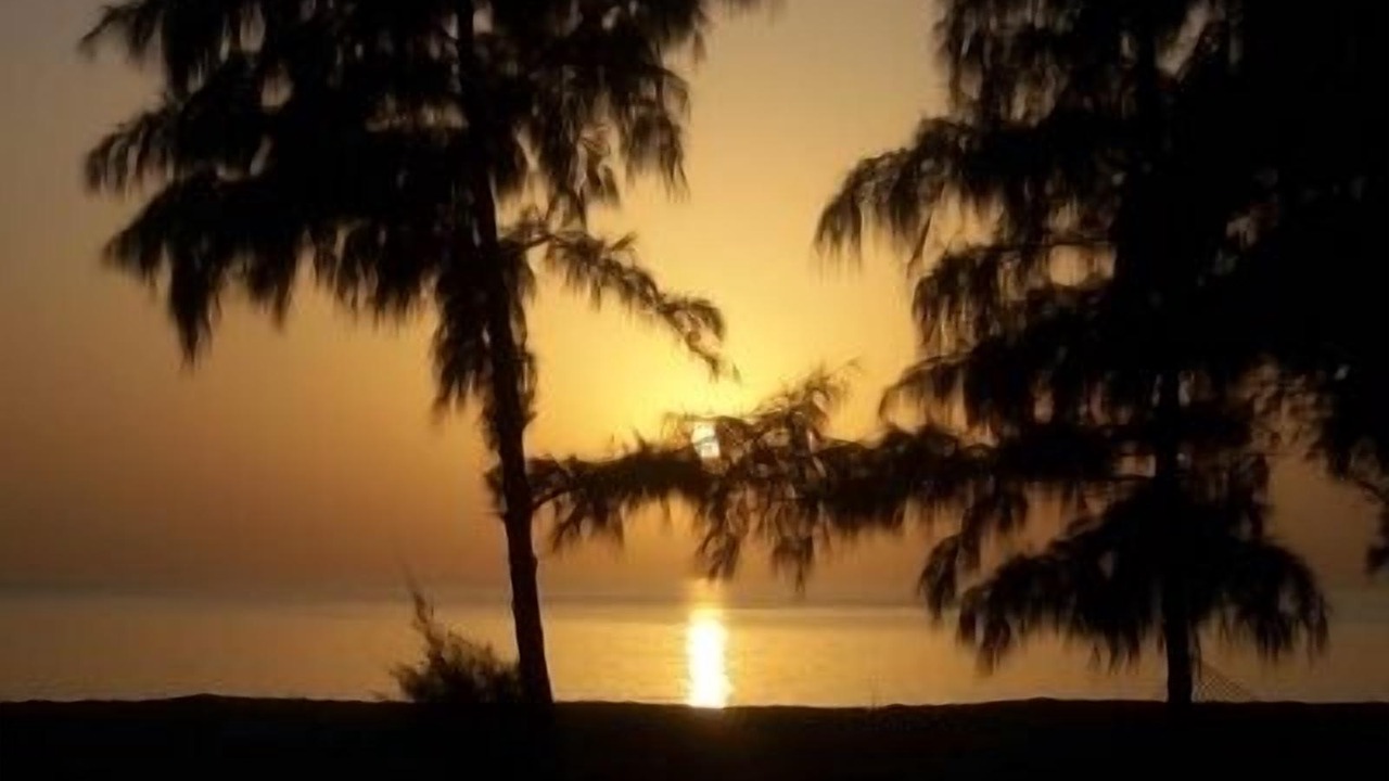 Photo of Others in Saly Petite Cote