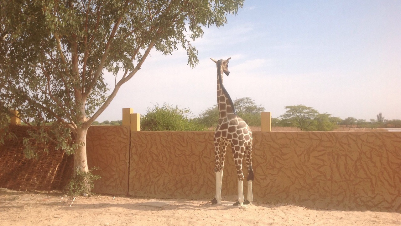 Photo of Outdoor in Saly Petite Cote