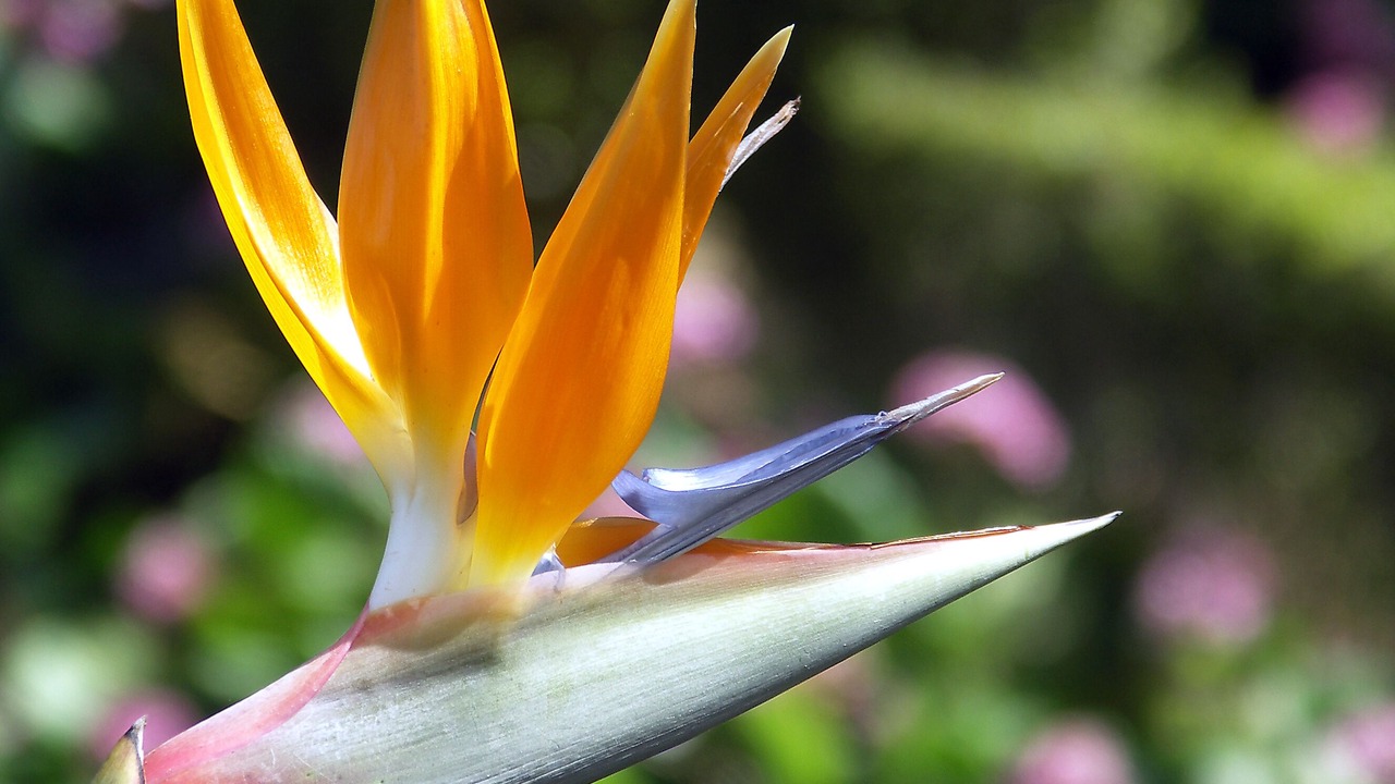 Photo of Outdoor in Monserrate