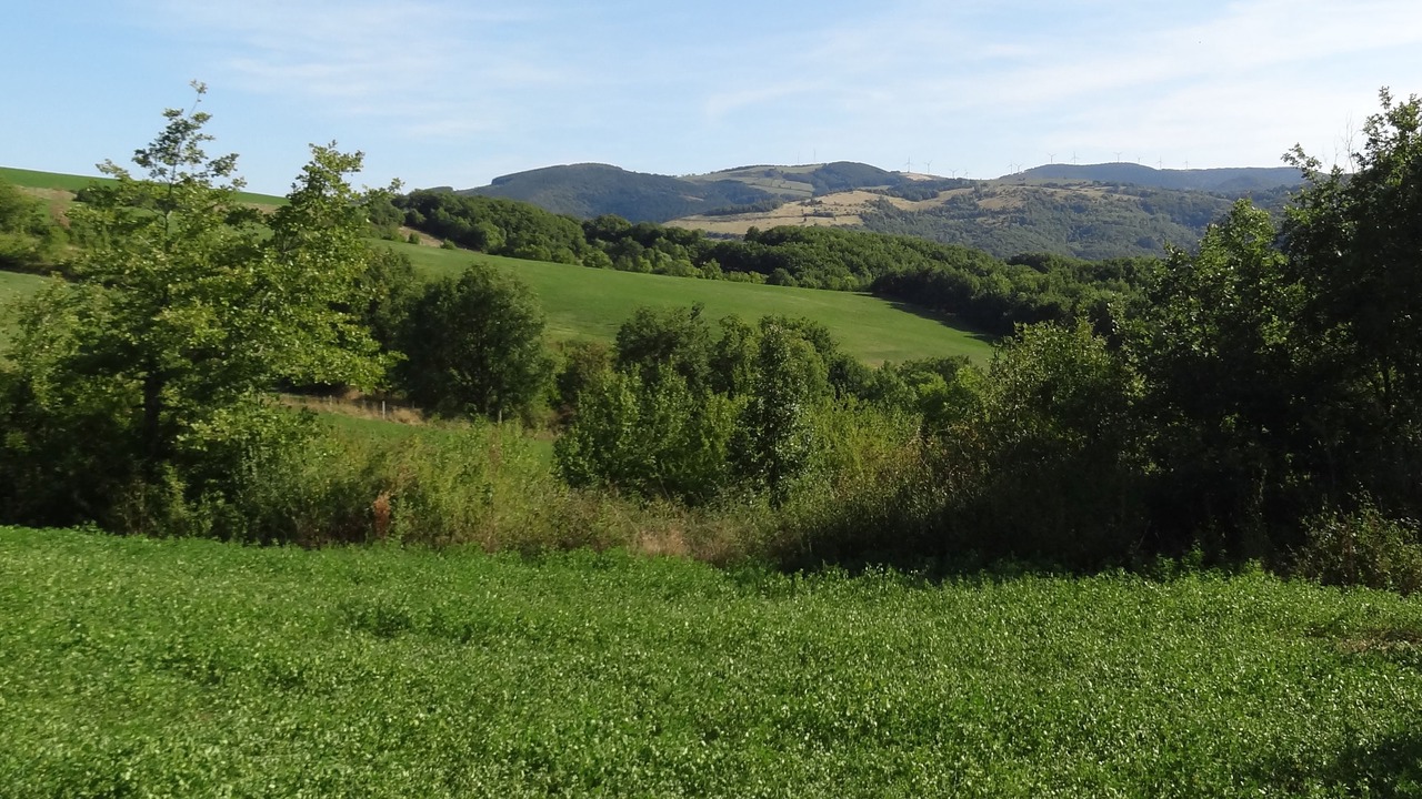 Photo of Outdoor in Camares