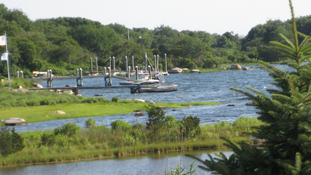 Photo of Others in Charlestown