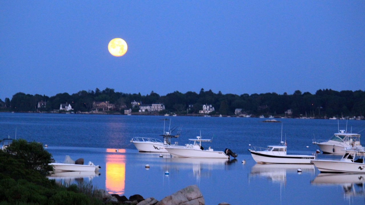 Photo of Others in Charlestown