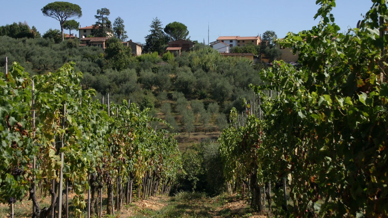 Photo of Outdoor in Montecarlo