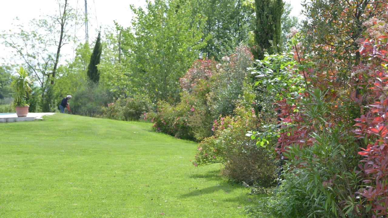 Photo of Outdoor in Montecarlo