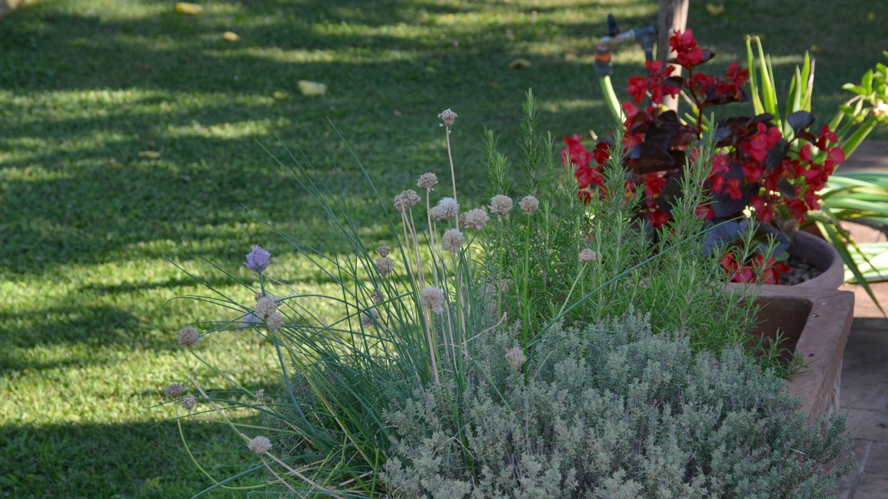 Photo of Outdoor in Montecarlo