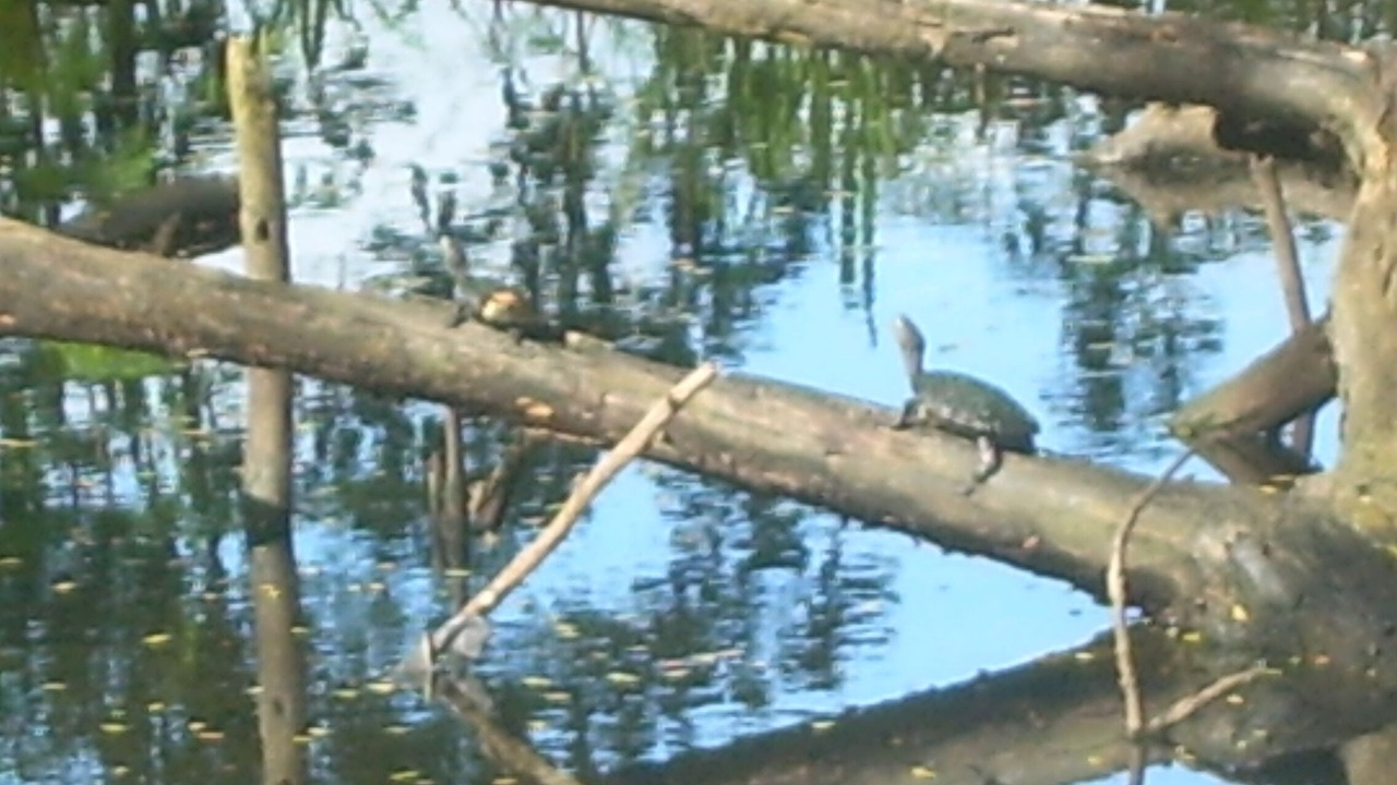 Photo of Outdoor in Rio Abajo
