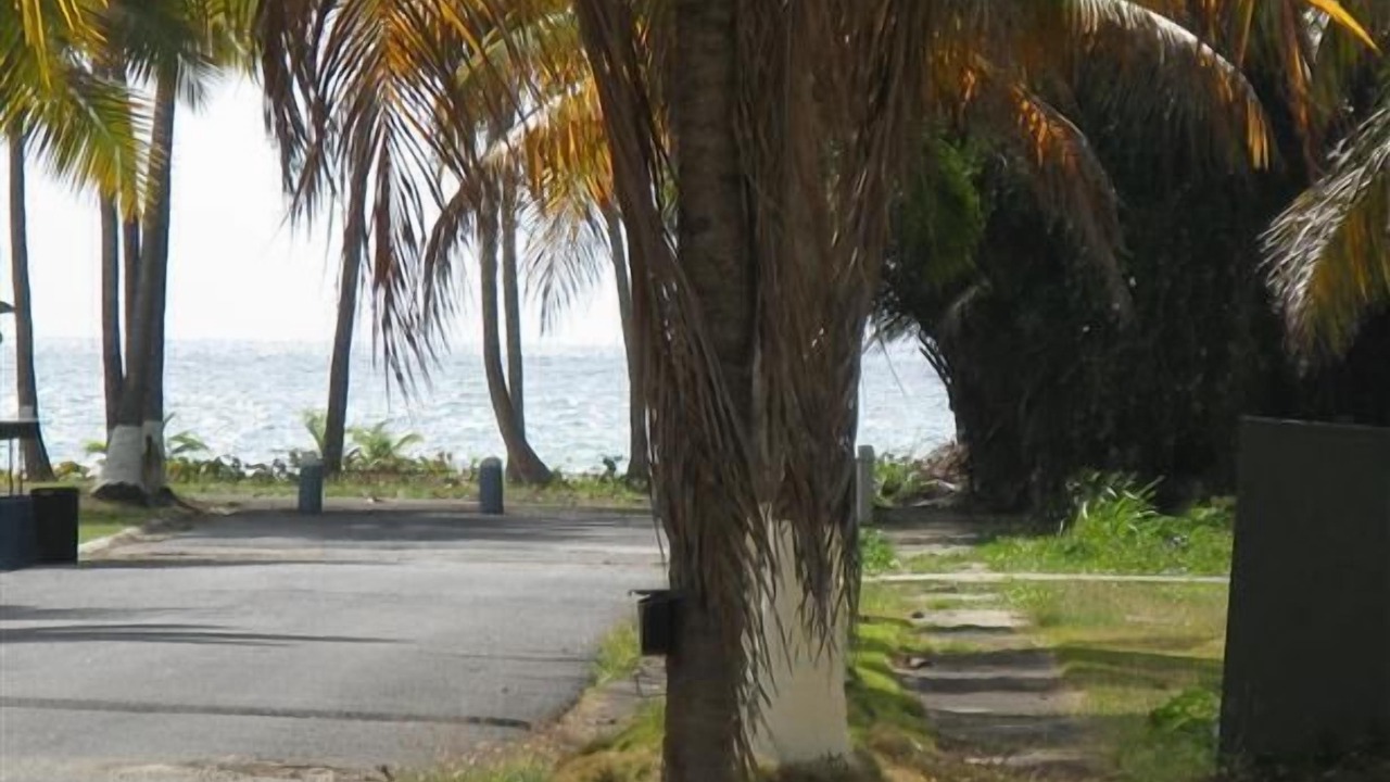 Photo of Outdoor in Rio Abajo