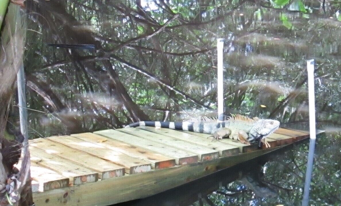 Photo of Outdoor in Rio Abajo