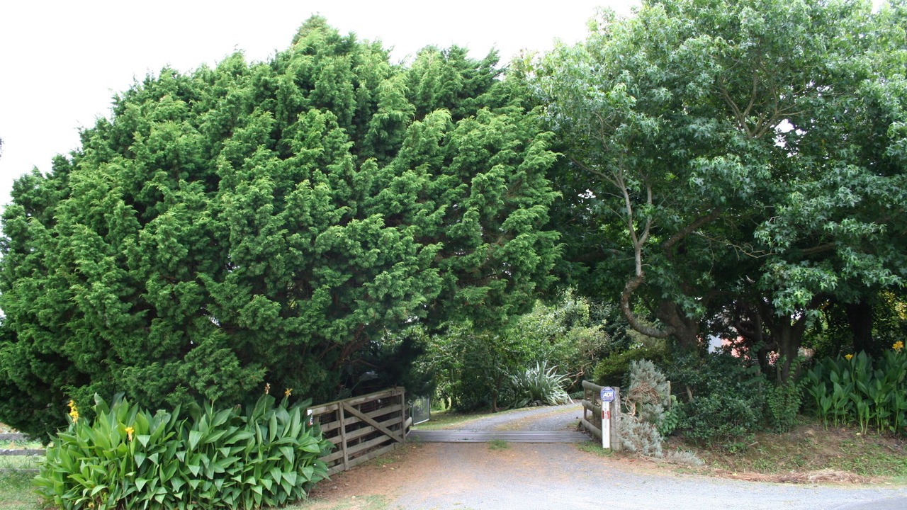 Photo of Outdoor in Te Awamutu