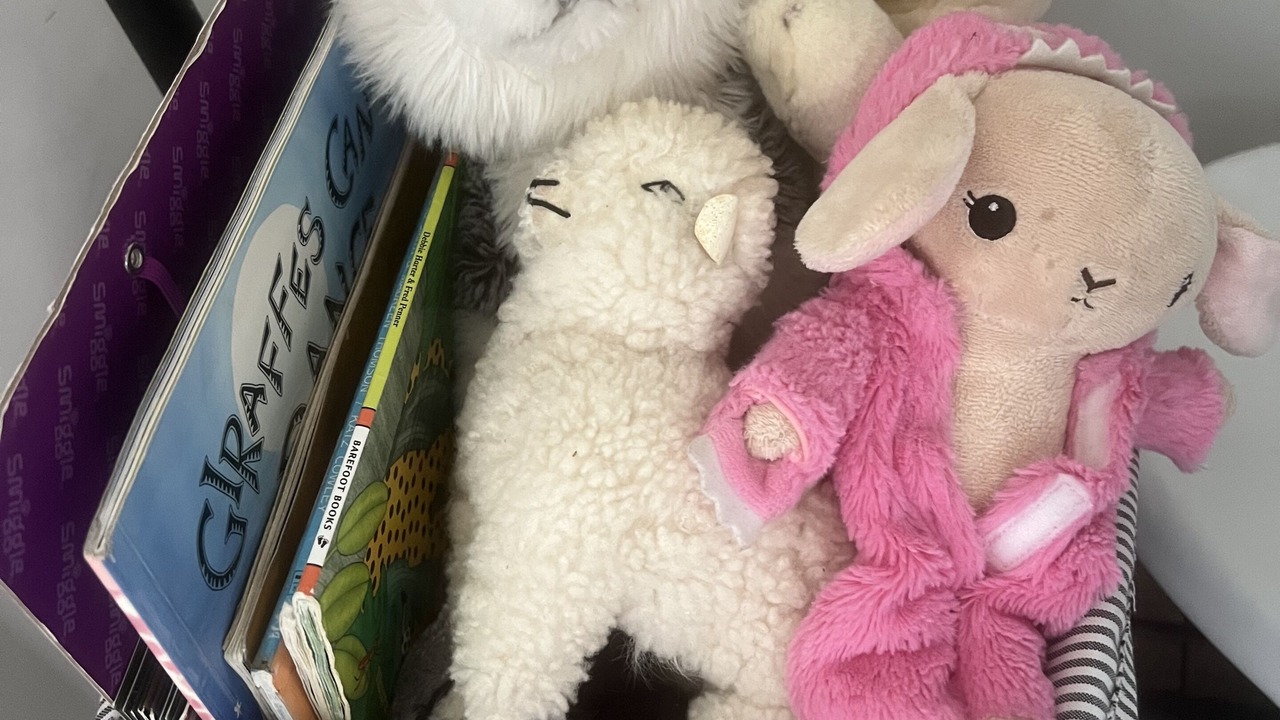 Photo of Others in Te Awamutu
